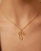 Collar de lazo